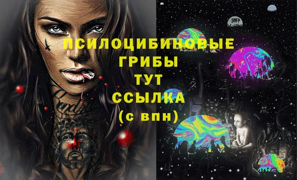 гидра Бронницы