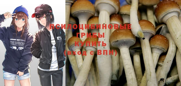 не бодяженный Братск