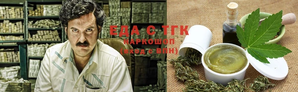 гидра Бронницы