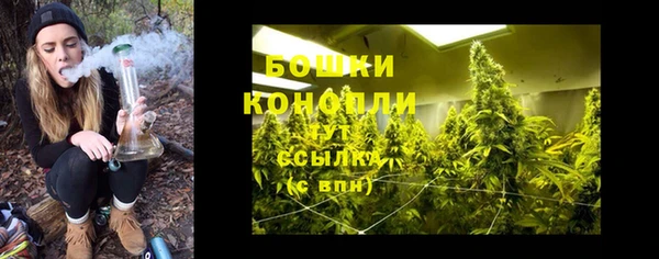 гидра Бронницы