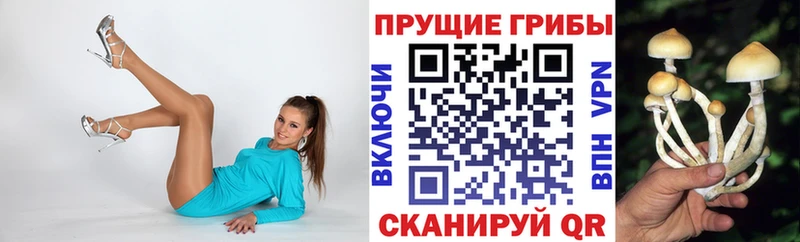 Псилоцибиновые грибы прущие грибы  MEGA ссылки  Верхняя Тура 